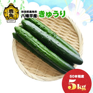 yӂ邳Ɣ[ŁzHcpsY イ 3kg / 5kg Iׂe LE ӉZ  Ė VN { H׍ lߍ킹   O Mtg lC  Hc ps 
