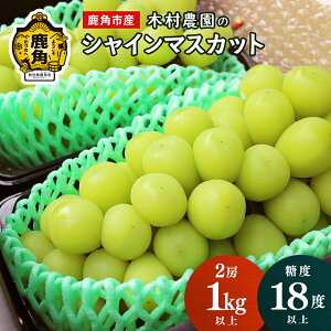 yӂ邳Ɣ[ŁzVC}XJbg _ƒ HcpY 嗱 u VC}XJbg v2[ 1kg ȏyؑ_z x Â Ԃǂ uhE VC}XJbg ܂邲 炲 H