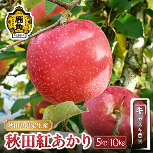 yӂ邳Ɣ[Łz Hcg 5kg 10kg Hcps p H ʏ` Â S n { Y  Ε 蕨  O Mtg ̋ Hc  ps 