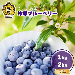yӂ邳Ɣ[Łzߘa7NY Ⓚ u[x[ Iׂ Ǖi 1kg / 2kg ( TCYMIX ) { Yu[x[ Yu[x[  Ε  ̓ ̓ O Mtg ̋ Hc 