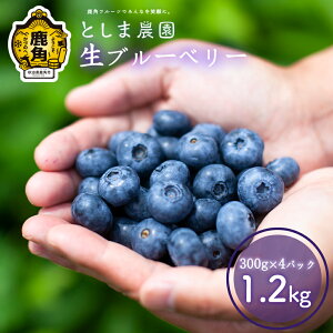 yӂ邳Ɣ[Łzs s\ tߘa8NY u[x[ Ǖi 1.2kg ( 300g × 4pbN ) { Yu[x[   Ε  ̓ ̓ O Mtg ̋ Hc  