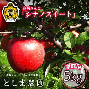 yӂ邳Ɣ[Łzs s\ t 󂠂 p  VimXC[g ƒp  5kg ( 12`20 ) S n { Y  Ε 蕨  O Mtg ̋ Hc  