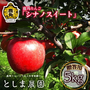 yӂ邳Ɣ[Łzs s\ t  VimXC[g p  5kg ( 12`20 ) S n { Y  Ε 蕨  O Mtg ̋ Hc  ps p 