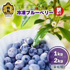yӂ邳Ɣ[Łz ߘa7NY 󂠂 Ⓚ u[x[ Iׂ 1kg / 2kg ( TCYMIX ) { Y u[x[ Yu[x[   Ε  ̓ ̓ O Mtg 