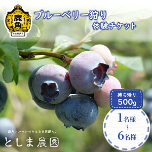 yӂ邳Ɣ[Łzs ߘa8Nx t u[x[  1l`6liA500gtj ̌ `Pbg Cxg 7  Hו t[c ʕ { Y  500g yA`Pbg 1l 2l 3l 4