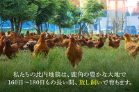 【ふるさと納税】比内地鶏うまいものセットB