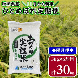 楽天市場 ふるさと納税 米 定期便 隔月の通販
