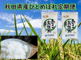 楽天市場 ふるさと納税 米 定期便 隔月の通販 楽天市場 ふるさと納税 米 定期便 隔月の通販