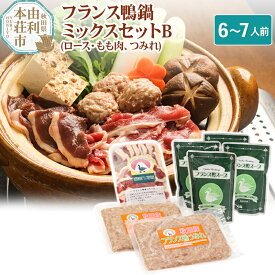 【ふるさと納税】国産 フランス鴨 鍋ミックスセット 合計740g (フランス鴨ロース肉・モモ肉ミックス240g 鴨つみれ250×2 スープ200ml×4)