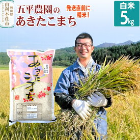 【ふるさと納税】【白米】あきたこまち 5kg 令和7年産 秋田県産 五平農園のあきたこまち お米 米 こめ 五平農園