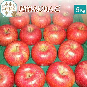 yӂ邳Ɣ[Łzs\ttCӂ 5kg _ƒ ь S Hc R{s