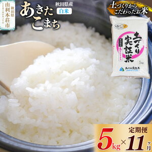 yӂ邳Ɣ[ŁzsVė\tyāzsցt 5kg×11 ߘa7NY ܂ yؕ v55kg HcY