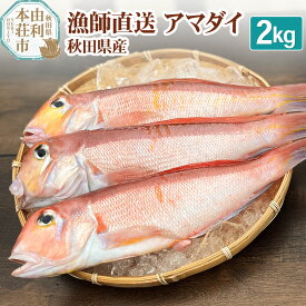 【ふるさと納税】漁師直送 甘鯛 (あまだい) 秋田県産 2kg (配送期間 5月～10月末予定、期間外は次期予約扱い)