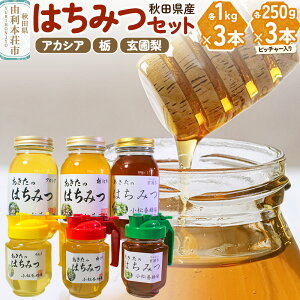 yӂ邳Ɣ[Łz{I ݂͂ HcY 100 Hĉ݂͂6{Zbg v3.75kgiAJVAAȁA ޗ e1Kg×1{+sb`[250g×1{)