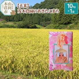 【ふるさと納税】米 10kg 玄米 あきたこまち 令和5年産 秋田県産 茂木農園のあきたこまち 玄米 10kg