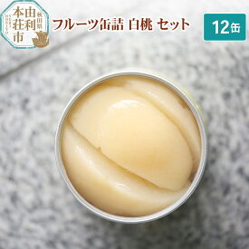 【ふるさと納税】Sanuki フルーツ缶詰 白桃 12缶セット
