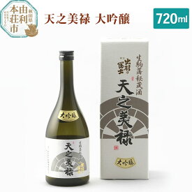 【ふるさと納税】佐藤酒造店 日本酒 天之美禄 大吟醸 720ml