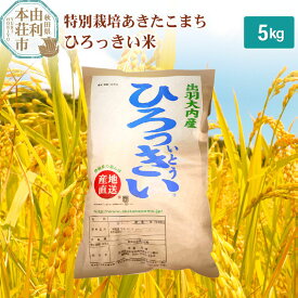 【ふるさと納税】米 5kg 【白米／玄米】 秋田県産 特別栽培あきたこまち 令和5年産 ひろっきい米 5kg