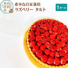 【ふるさと納税】ラズベリータルト 自家栽培 1ホール(直径19cm)