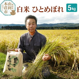 【ふるさと納税】【白米】 ＜通算5回 特A＞ ひとめぼれ 5kg 令和7年産 農家直送 渡部さんのひとめぼれ