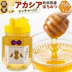 【ふるさと納税】《先行受付》【新蜜】小松養蜂場 はちみつ 秋田県産 100％ ピッチャー入 アカシアはちみつ 250g [はちみつ ハチミツ 蜂蜜 国産 秋田県産100％ 自家採蜜100％]