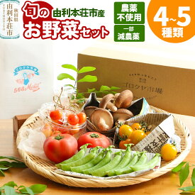 【ふるさと納税】旬のお野菜セット 秋田県 由利本荘市産 栽培期間中農薬不使用 減農薬