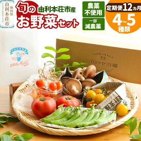 【ふるさと納税】【定期便 1年分・12ヶ月】旬のお野菜セット 秋田県 由利本荘市産 栽培期間中農薬不使用 減農薬