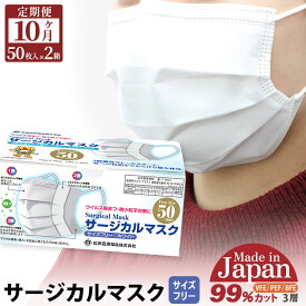 【ふるさと納税】《定期便10ヶ月》国内製造 高性能サージカルマスク 普通サイズ 50枚入り×2箱 (合計100枚)×10回 10か月 10ヵ月 10カ月 10ケ月