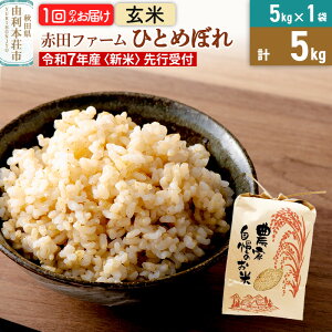 【ふるさと納税】《新米予約》令和7年産 【 玄米 】 秋田県産ひとめぼれ5kg