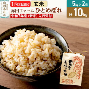 【ふるさと納税】《新米予約》令和7年産 【 玄米 】 秋田県産ひとめぼれ10kg(5kg×2袋)