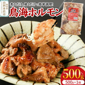 【ふるさと納税】鳥海ホルモン 1個入（500g）