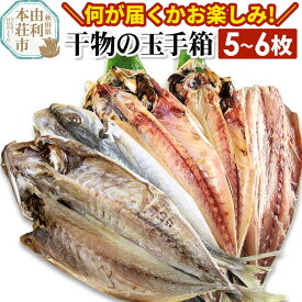【ふるさと納税】干物の玉手箱 5〜6枚 [魚 鮮魚 干物 おかず おつまみ 食べ比べ セット おまかせ 冷凍 贈答 秋田]
