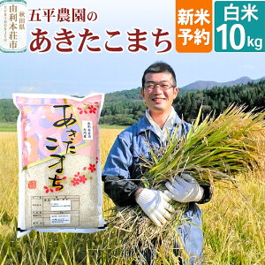 yӂ邳Ɣ[ŁzsVė\tyāzs12{`{\tߘa7NY HcY ܕ_ ܂10kg