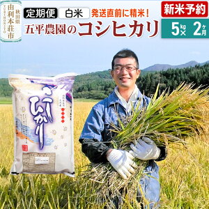 yӂ邳Ɣ[ŁzsVė\ts2tyāzRVqJ ߘa7NY HcY ܕ_̃RVqJ 5kg