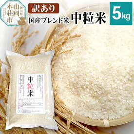 【ふるさと納税】【訳あり】国産ブレンド米 中粒米 5kg