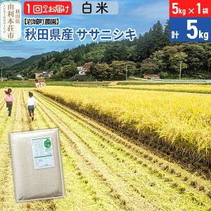 yӂ邳Ɣ[Łzsߘa7NYtyāzTTjVL 5kg(5kg×1) Hc R{sY ߘa7NY ^pbN 钬_