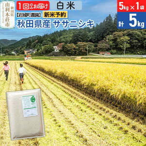 yӂ邳Ɣ[Łzsߘa7NY Vė\tyāzTTjVL 5kg(5kg×1) Hc R{sY ߘa7NY ^pbN 钬_