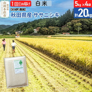 yӂ邳Ɣ[Łzsߘa7NYtyāzTTjVL 20kg(5kg×4) Hc R{sY ߘa7NY ^pbN 钬_