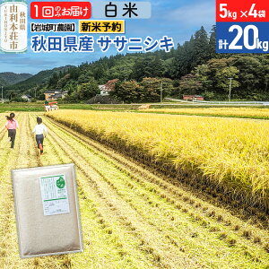 yӂ邳Ɣ[Łzsߘa7NY Vė\tyāzTTjVL 20kg(5kg×4) Hc R{sY ߘa7NY ^pbN 钬_