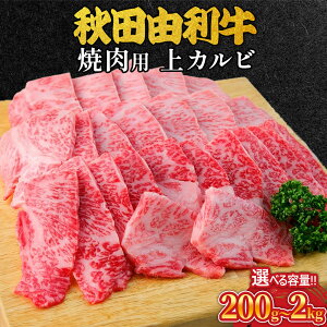 yӂ邳Ɣ[ŁzHcR ēp Jr Iׂeʁm200g`2kgn  Ă uh a BBQ