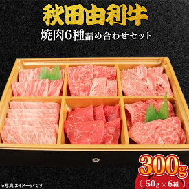 【ふるさと納税】秋田由利牛 焼肉6種詰め合わせセット 300g（50g×6種）