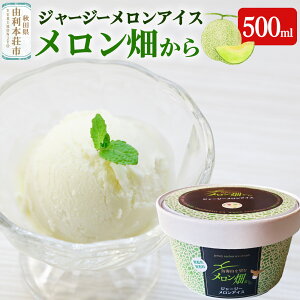 yӂ邳Ɣ[ŁzW[W[ACXuv 500ml