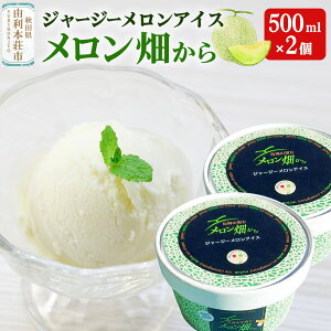 yӂ邳Ɣ[ŁzW[W[ACXuv500ml×2 ~N t[c