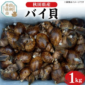 yӂ邳Ɣ[ŁzsꕔnztoCL 1kg R{sY