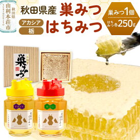 【ふるさと納税】小松養蜂場 はちみつ 秋田県産 100％ 巣みつ(アカシア) +アカシア・栃はちみつ各 250g セット