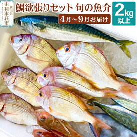 【ふるさと納税】鯛 欲張りセット 2kg 以上 冷蔵 《予約》4月中旬～9月中旬発送