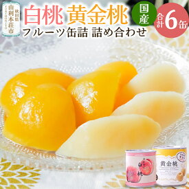 【ふるさと納税】Sanuki フルーツ缶詰 詰め合わせ 6缶セット(黄金桃、白桃)