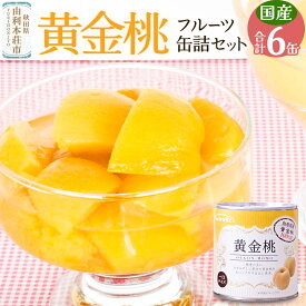 【ふるさと納税】Sanuki フルーツ缶詰 黄金桃 6缶セット