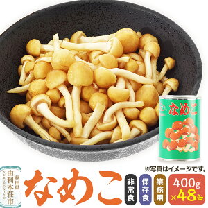 yӂ邳Ɣ[ŁzȂ߂ 400g(Ō`200g)×48 ʋl Y H ۑH Ɩp