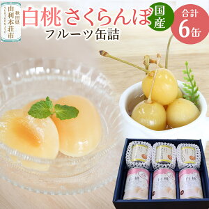yӂ邳Ɣ[ŁzSanuki t[cʋl kYځE2蔒ʋl e3ʃZbg